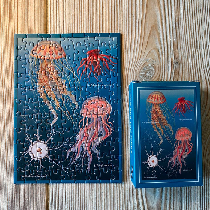 Deep Sea Dancers | 99 Piece Jigsaw Puzzle