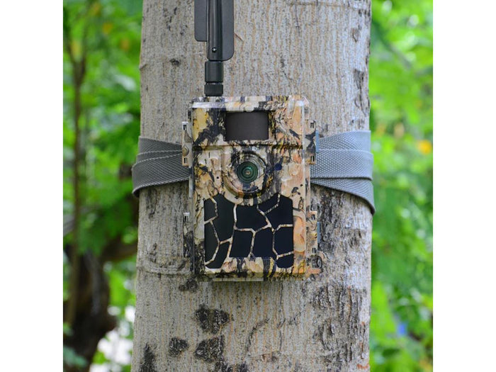 TrailCam HD Wildlife Camera 24MP 1080P No-Glow 4G