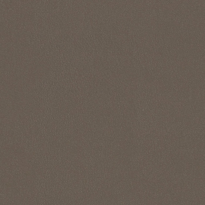 Ultra Durable - Wet Clay - 4021 - 01 - Half Yard