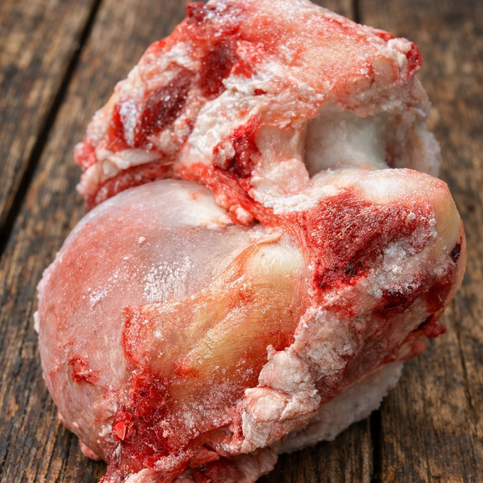 Bison Knuckle Bone for Dogs - Buck Wild Bison