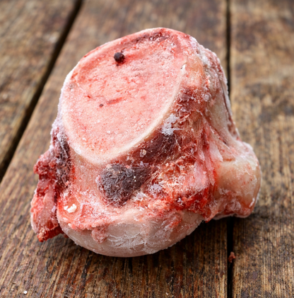 Bison Knuckle Bone for Dogs - Buck Wild Bison