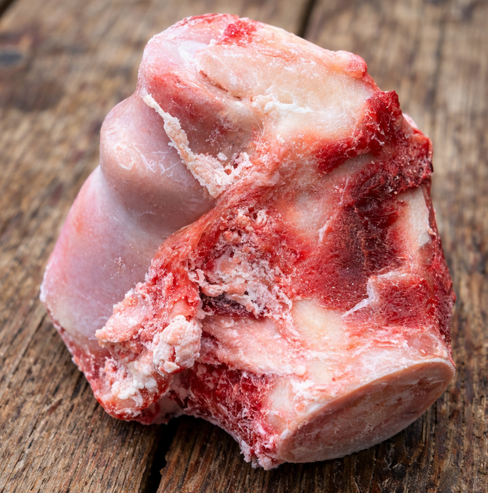 Bison Knuckle Bone for Dogs - Buck Wild Bison