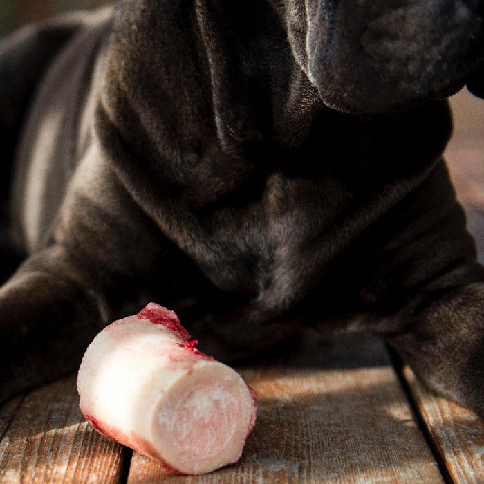 Marrow Bones - Buck Wild Bison Meat