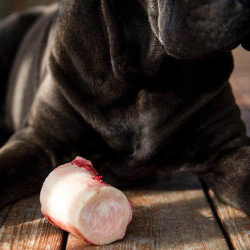 Marrow Bones - Buck Wild Bison Meat