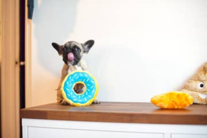 Zippypaws dog toys Blueberry Donutz Sprinkles Squeaky Dog Toy - 3 Sizes