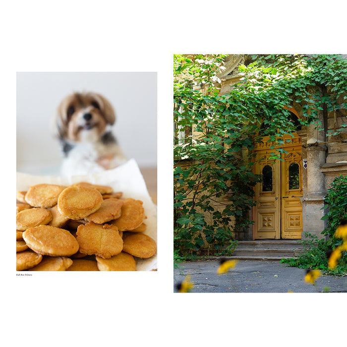 Cuisines of Odesa