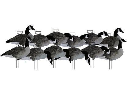 Dakota X-Treme Canada Goose Silhouette Decoys 12-Pack Flocked Head Tail