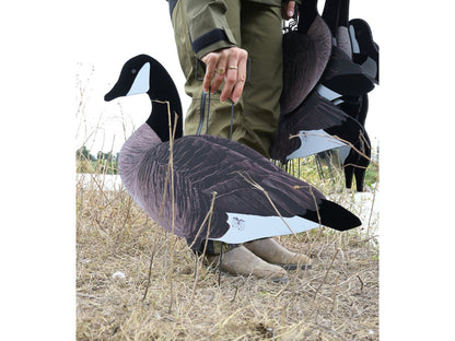 Dakota X-Treme Canada Goose Silhouette Decoys 12-Pack Flocked Head Tail