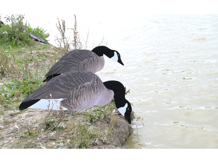 Dakota X-Treme Canada Goose Silhouette Decoys 12-Pack Flocked Head Tail