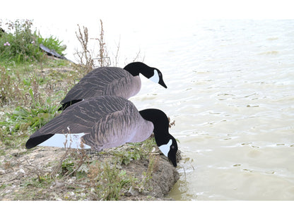 Dakota X-Treme Canada Goose Silhouette Decoys 12-Pack Flocked Head Tail
