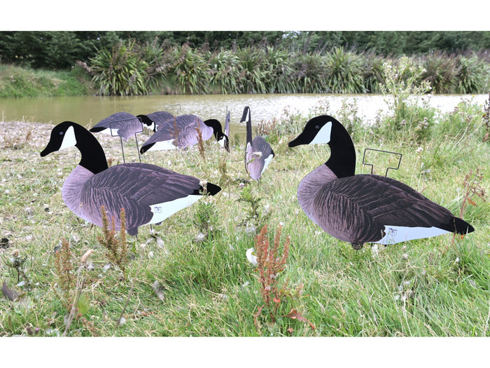 Dakota X-Treme Canada Goose Silhouette Decoys 12-Pack Flocked Head Tail
