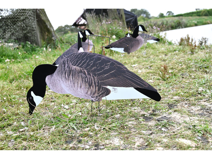 Dakota X-Treme Canada Goose Silhouette Decoys 12-Pack Flocked Head Tail