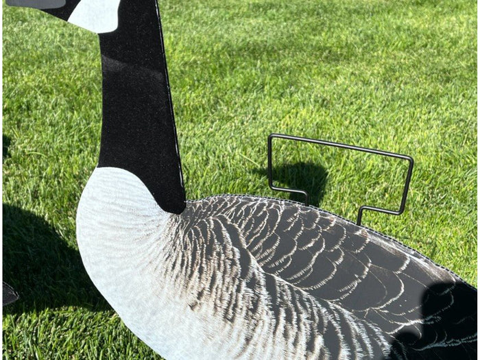 Dakota X-Treme Canada Goose Silhouette Decoys 12-Pack Flocked Head Tail