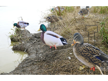 Dakota X-Treme Mallard Silhouettes Fully Flocked