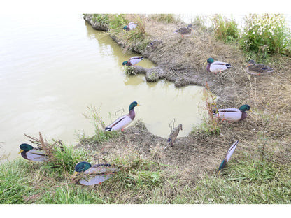 Dakota X-Treme Mallard Silhouettes Fully Flocked