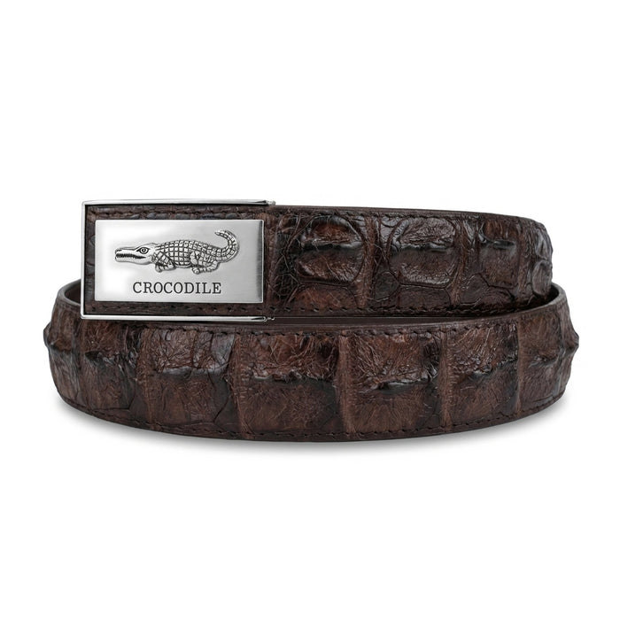 Dark brown crocodile backbone belt coiled on white, silver chrome CROCODILE buckle visible on the left