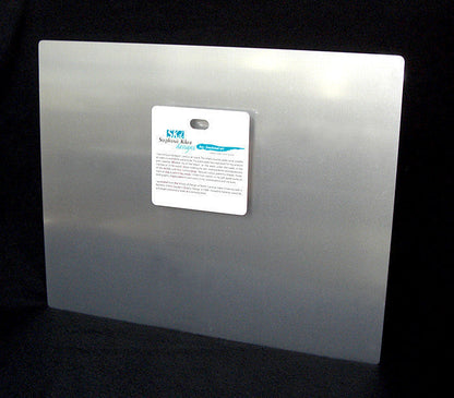 Dolphin Cruise Aluminum Wall Art