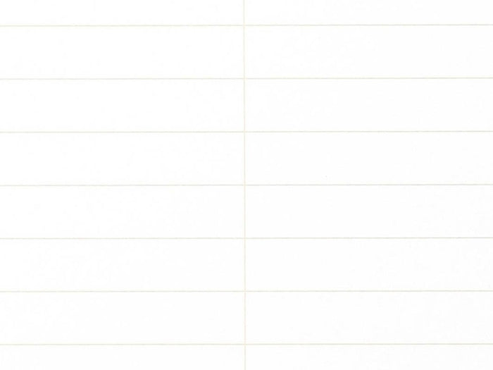 Field Notes 80-Page Steno Book