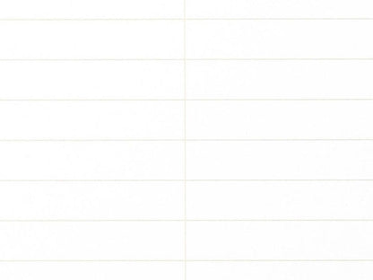 Field Notes 80-Page Steno Book