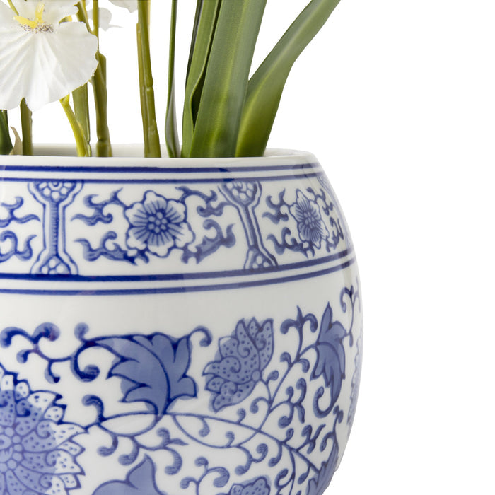 Folia Orchid in Ceramic Pot