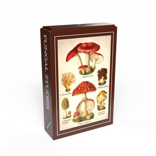 The Penny Puzzle Fungal Studies | 99 Piece Jigsaw Puzzle comes in a box with vintage-style illustrations of various mushroom species on the front, reminiscent of a charming minipuzzle.