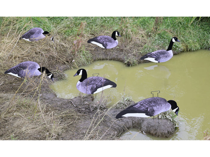 Game On Canada Goose 2D Silhouette Decoys 12 Piece Pack