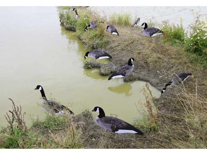 Game On Canada Goose 2D Silhouette Decoys 12 Piece Pack