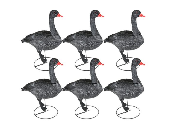 Game On Full Body Field Black Swan Decoy 6 Pack