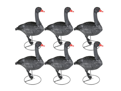 Game On Full Body Field Black Swan Decoy 6 Pack