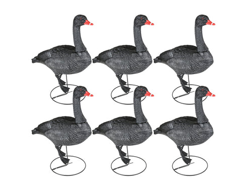 Game On Full Body Field Black Swan Decoy 6 Pack