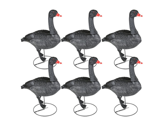Game On Full Body Field Black Swan Decoy 6 Pack