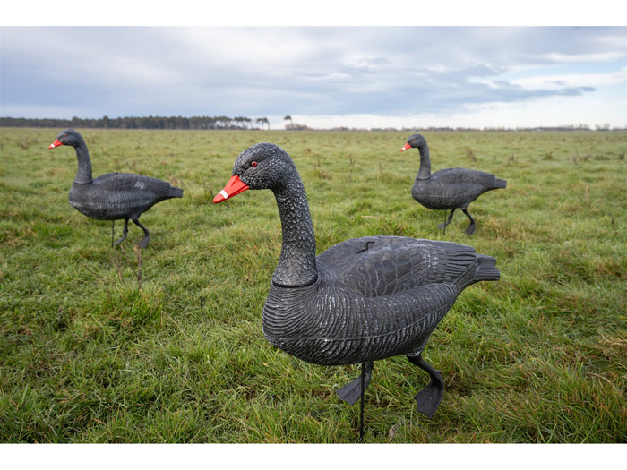 Game On Full Body Field Black Swan Decoy 6 Pack