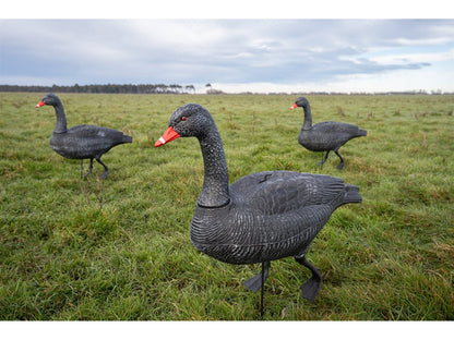 Game On Full Body Field Black Swan Decoy 6 Pack