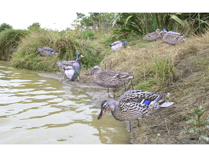 Game On Mallard 2D Silhouette Decoy Set 12 Pack