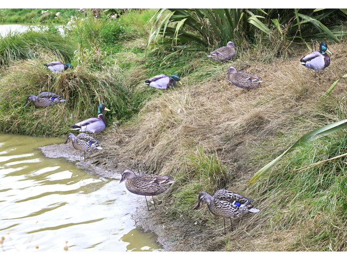 Game On Mallard 2D Silhouette Decoy Set 12 Pack