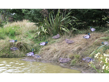 Game On Mallard 2D Silhouette Decoy Set 12 Pack