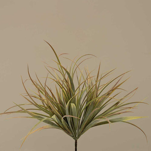 Grass Bush