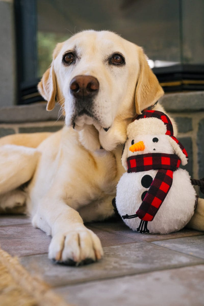 Play Pet Brands dog toys Home for the Holidays Blizzard Buddy Christmas Snowman Plush Squeak Dog Toy