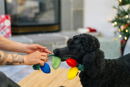 Play Pet Brands dog toys Home for the Holidays Twinkly Tugger Christmas Lights Plush Squeak Dog Toy