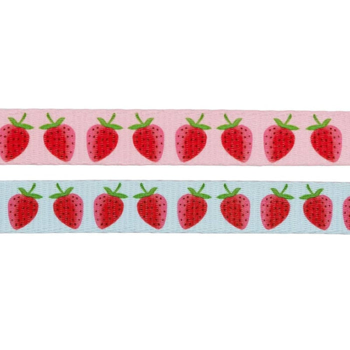 SASSY WOOF Leashes I Woof You Berry Much (Fruits) Light Blue & Pink Dog Leash