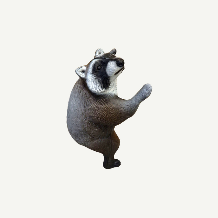 Leitold Waschbär kletternd