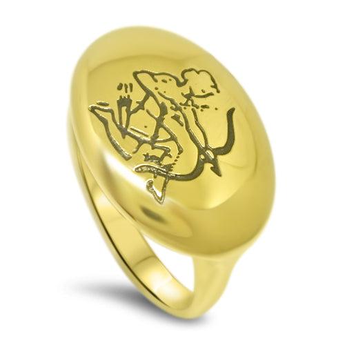 Lesunja Zodiac Sagittarius Steel Yellow Gold Plated Ring