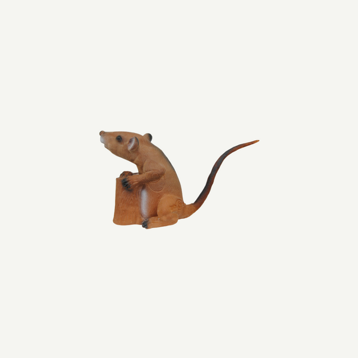 Longlife Sitzende Ratte