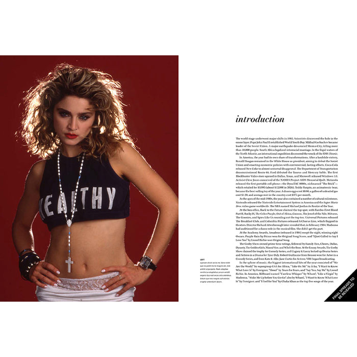 Madonna: Into the Groove