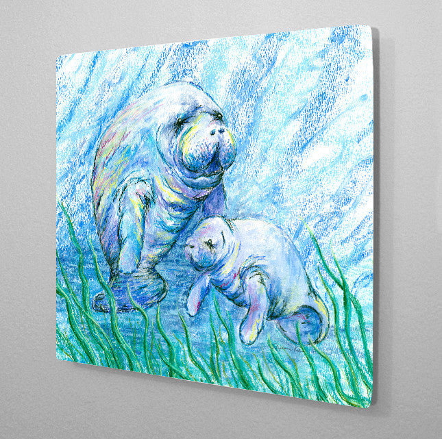 Manatees in Grass Aluminum Wall Art