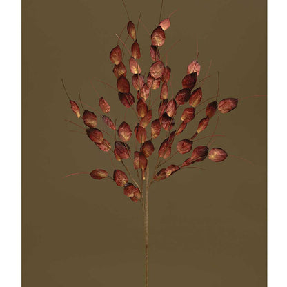 Money Plant Spray