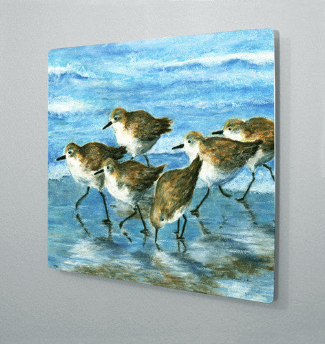 Morning Run Aluminum Wall Art