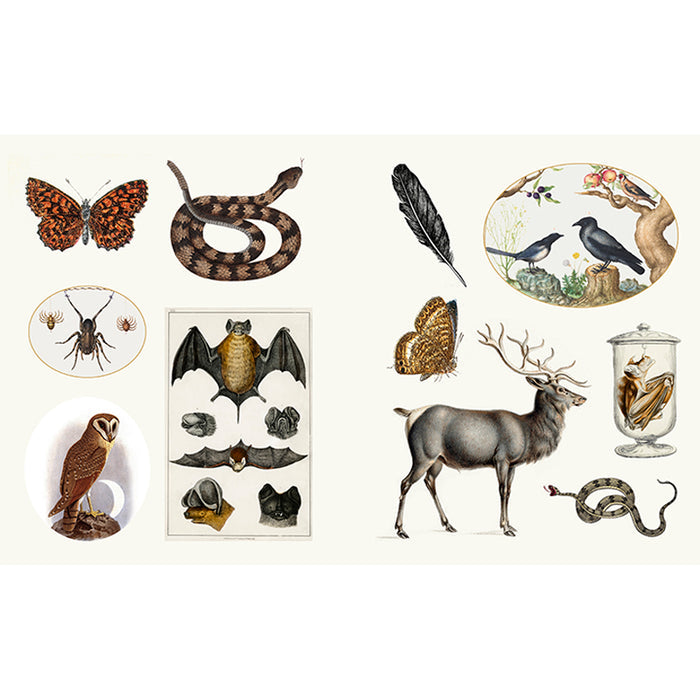 Mystical Esoterica Sticker Book