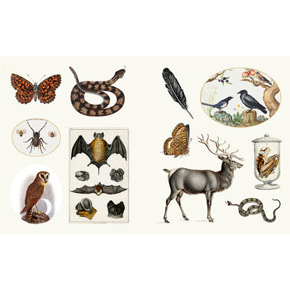 Mystical Esoterica Sticker Book