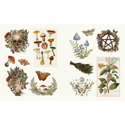 Mystical Esoterica Sticker Book